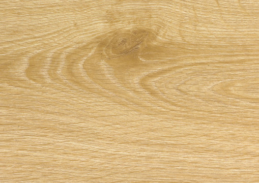 Wood grain surface close up texture background. Wooden floor or table with natural pattern