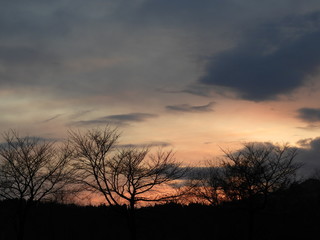 越後平野の夕焼け