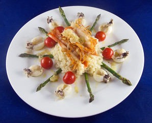 Sepia and wild shrimps