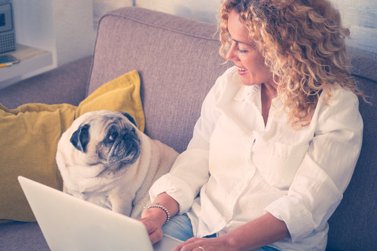 Happy couple people woman and funny dog enjoy at home together - caucasian lady working with laptop computer and domestic friend looking to her - bright image for love and happiness concept
