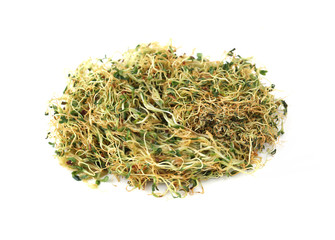 alfalfa sprouts on white background