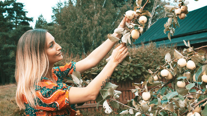 Naklejka premium Beautiful girl in the village style eats apples summer