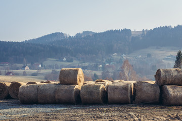 Bales of straw in Sokolec village on the edge of Owl Mountains Landscape Park, protected area in Lower Silesia Province of Poland