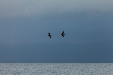 San Blas archipelago, Kuna Yala Region, Panama, Central America, America