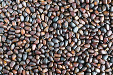 pine nuts close up background