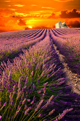 Naklejka na ściany i meble Sunset in Provence