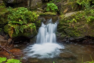 Small waterfall coming through large rocks surrounded by lush green plants on the Bila Opava river in Jeseniky mountains in the Czech Republic