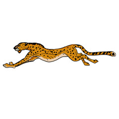 Wild african animals. Cheetah running. Hand drawn vector illustration.