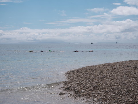 Barasu Bilder Durchsuchen 29 Archivfotos, und Videos