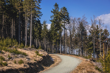 Tourist trail a slope of Mount Kozia Rownia in Owl Mountains Landscape Park, protected area in Lower Silesia Province of Poland