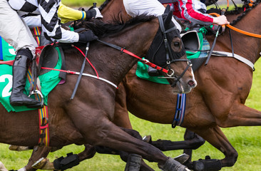 Close up on group of jockeys and race horses racing on track