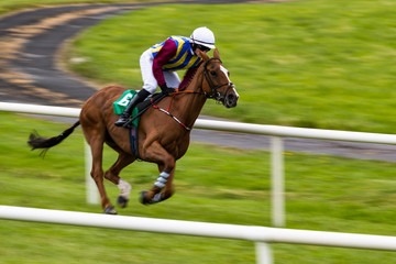 Close up on race horse and jockey running at speed, speeding motion blur effect