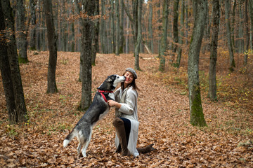 Animal training. Pedigree dog concept. Best friends. Girl enjoy walk with husky dog. Siberian husky favorite pet. Animal husbandry. Girl pretty stylish woman walking with husky dog autumn forest