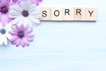 Word sorry and flowers on blue background.