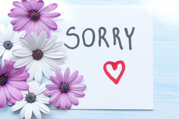 Word sorry and flowers on blue background.