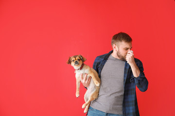 Man suffering from pet allergy on color background