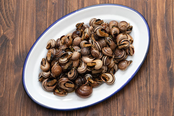 boiled snails with herbs in white dish on wooden  background