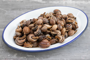 boiled snails with herbs in white dish on ceramic background