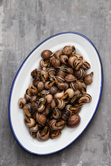 boiled snails with herbs in white dish on ceramic background