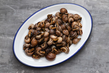 boiled snails with herbs in white dish on ceramic background