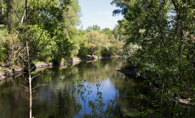 Fototapeta na wymiar Irtysh river backwater in the Park. Parkland.