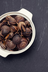 boiled snails with herbs in white dish on ceramic background