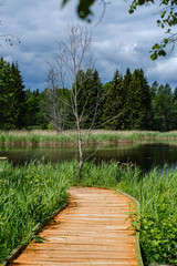 beautiful wooden plank pathway walkway in green pasture
