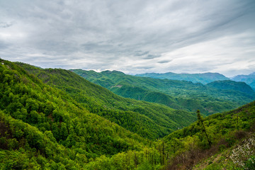 Fototapeta na wymiar Montenegro, Beautiful green unspoiled tree covered mountain landscape of moraca canyon nature near kolasin from above