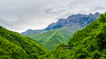Fototapeta na wymiar Montenegro, Green endless jungle like forest covering moraca canyon next to impressive high mountains of mountain massif coveredy by snow