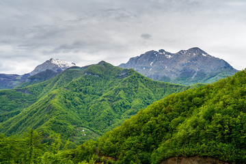 Montenegro, Majestic hilltops covered by snow next to green forest covered mountains near kolasin in springtime