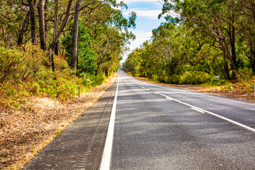 Country road and natural bushland in Victoria Australia