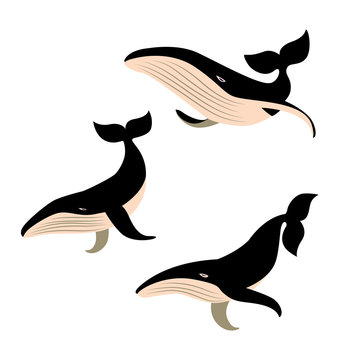 Set of vector whales .