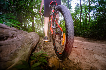 Fototapeta premium legs of Woman cyclist bicycle riding in way of the rain forest road, adventure woman riding mountain bike alone in forest at countryside.