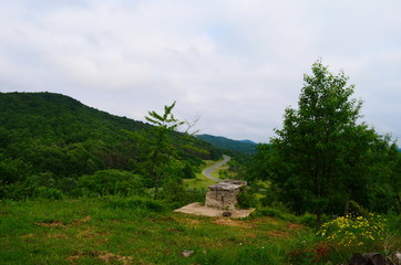 motel in a pine forest in the Bulgarian town of Malko Tarnovo