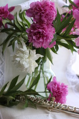 still life with silver flute and peonies, photography