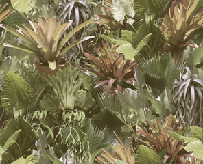Obraz premium Tropikalny wzór z sukulentów, tropikalnych liści. Tło botaniczne