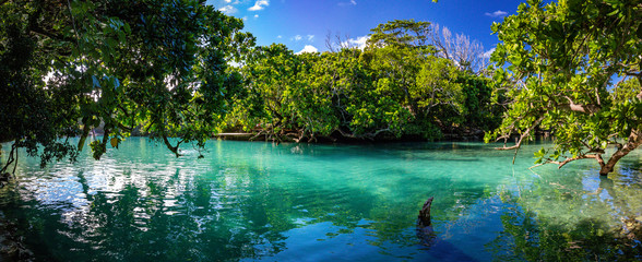 The Blue Lagoon, Port Vila, Efate, Vanuatu - obrazy, fototapety, plakaty