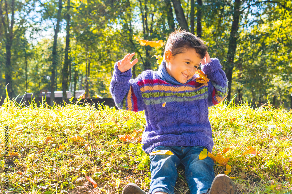 Wall mural boy in the fall.