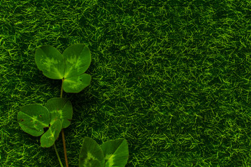 clover leaves on green grass with copy space