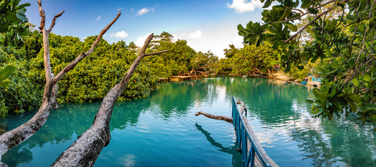 The Blue Lagoon, Port Vila, Efate, Vanuatu