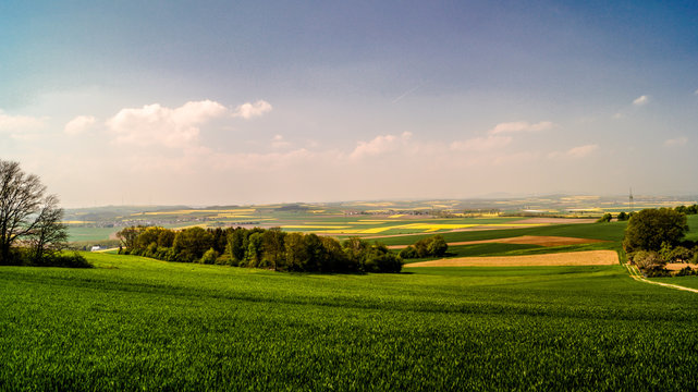 Paysage printanier