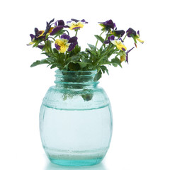 Spring flowers in a glass vase in white isolate