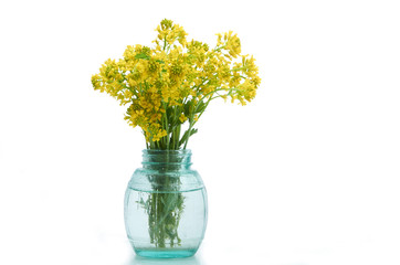 Spring flowers in a glass vase in white isolate