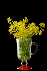 Spring flowers in a glass container with black isolate