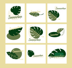 Flat design vector set of logos with exotic leaves. Closeup. The beautiful leaves of Monstera and fern - summer time botany style.
