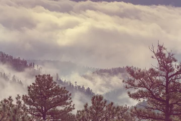  Fog in mountains © Galyna Andrushko