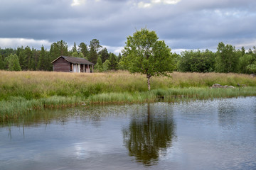 Obraz premium Scenic view of Lapland summer lake. Small wooden house on the lake shore in Finland. Lonely green tree(Betula nana) reflected in the water.