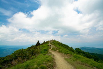 山頂への道