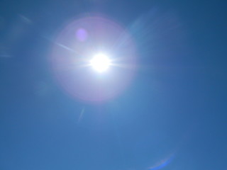 Sole