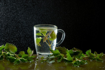 Tea teapot from medicinal nettle with nettle leaves and water dust